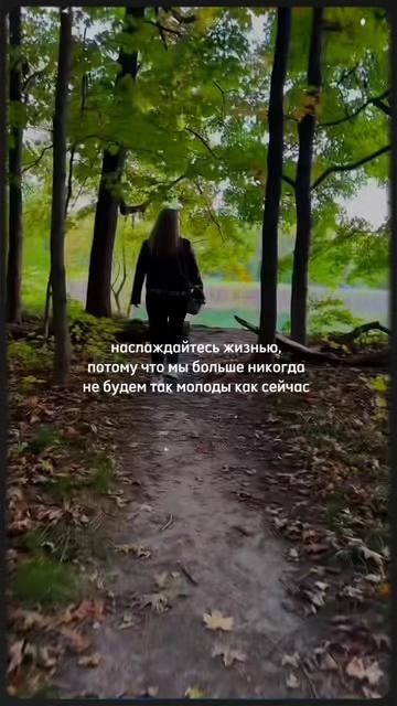 @svitlanalikitarch