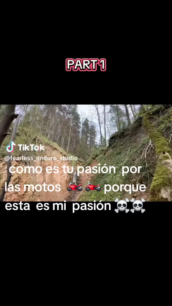 @Mendoza fan🐂 del éxito ✍️🧠💸