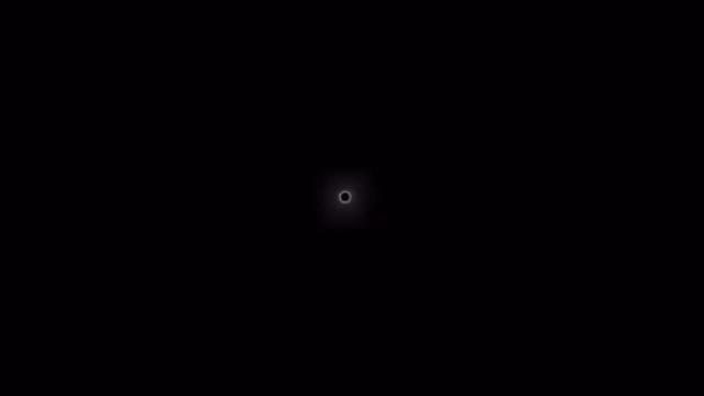 @Kazzi🕸️