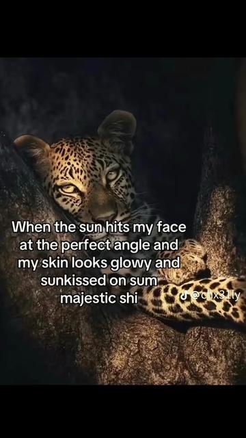 @kayxospamsss