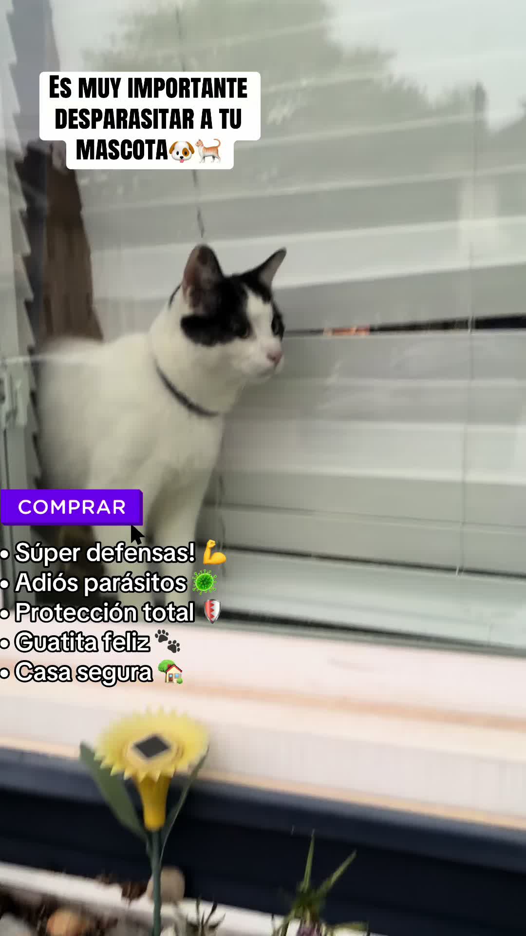 @Maria.