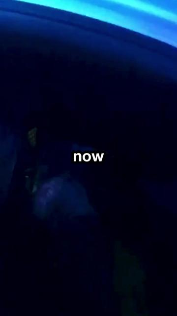 @Badge Cam Patrol
