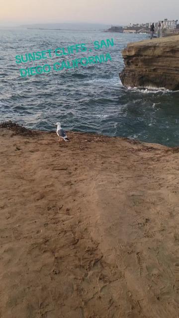 @BªĹƙÀɲ ƁoƳ