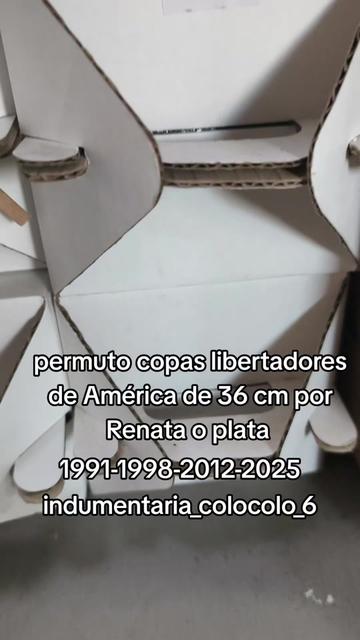 @indumentaria_colocolo_6