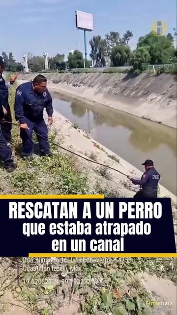 @Proyecto Info
