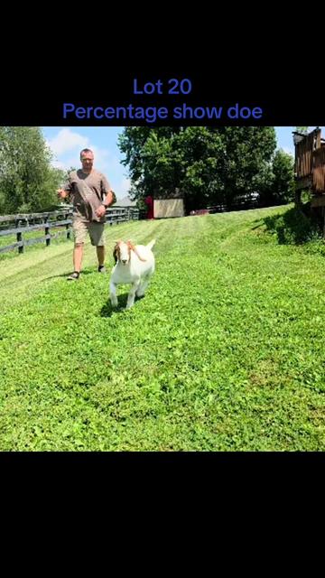 @Klein Kraal Farm🐐