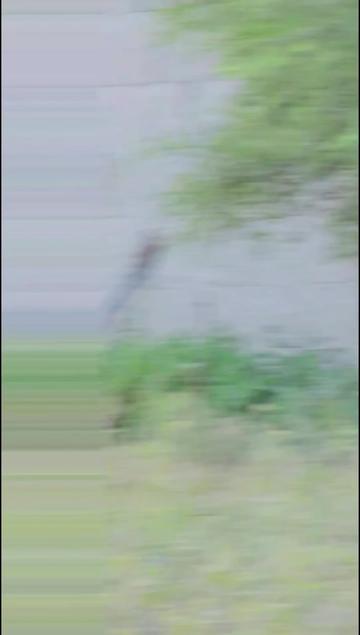 @༼ ❌↗ 𝙎𝘿𝙍.spinwal ↖ ༽❌