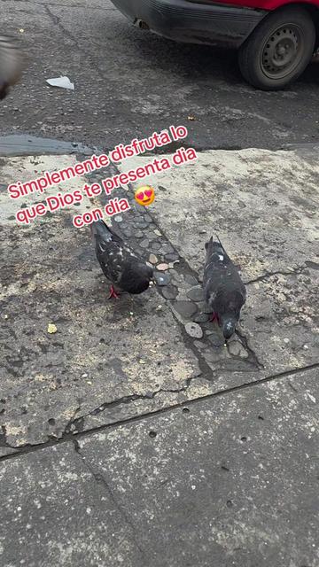 @Lupita Vélez única