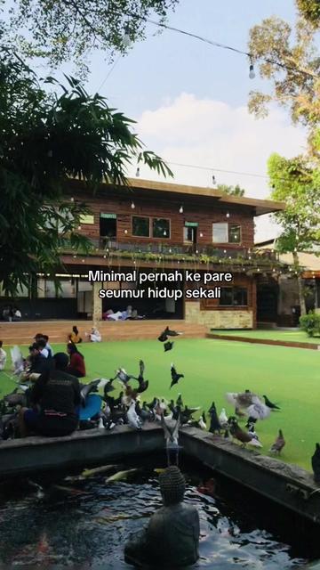 @IBAS