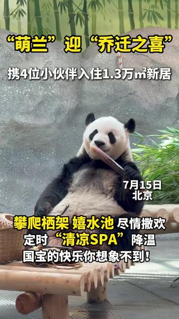 @熊猫妹珠🐼