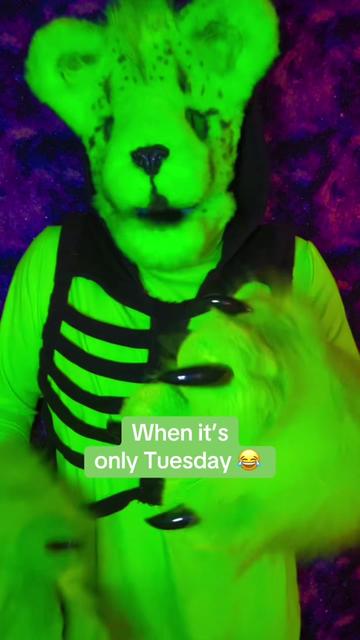 @kpupbearhunter