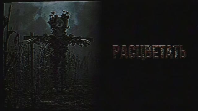 @𝔅𝔞𝔫𝔞𝔫𝔞𝔓𝔯𝔬𝔠𝔥𝔦𝔨👁️