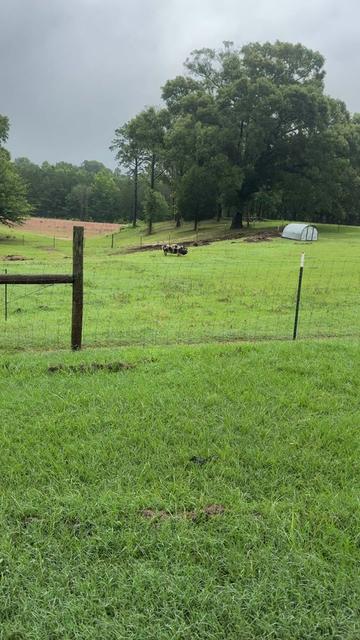 @Cog Hill Farm