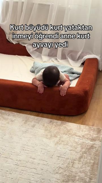 @drytmcc