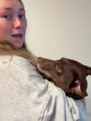 @ABvlogs