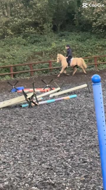 @amelia_showjumping2