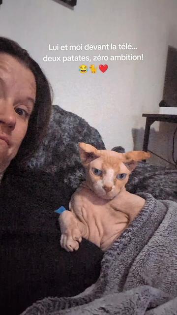 @Amy_dusoleildanstajournee