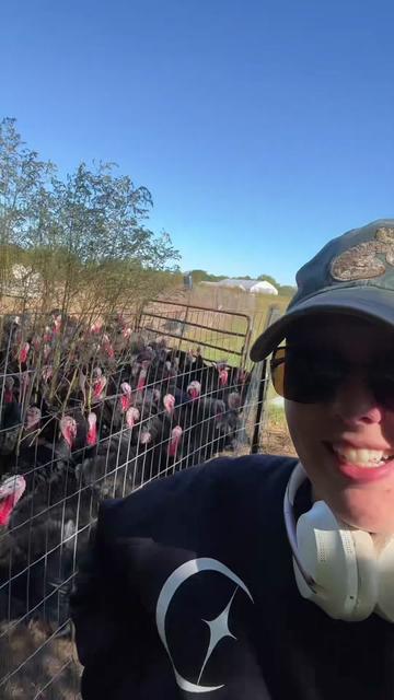 @farmerandtheharpiist