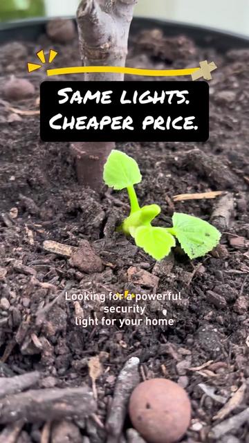 @greengirlgardens