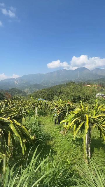 @Anand Bahadur Syangtan🇳🇵🇰🇷