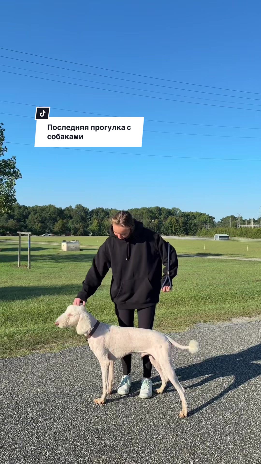 @Инна | Беркут