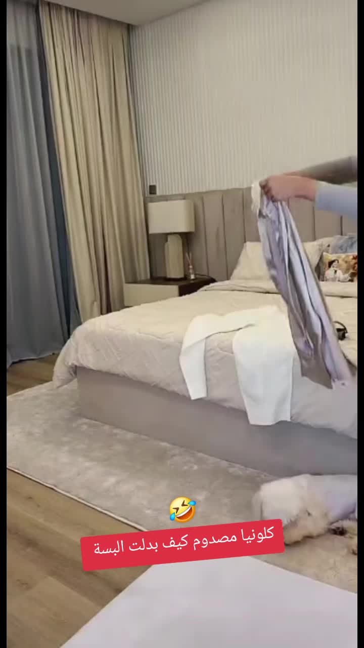 @Fox🦊