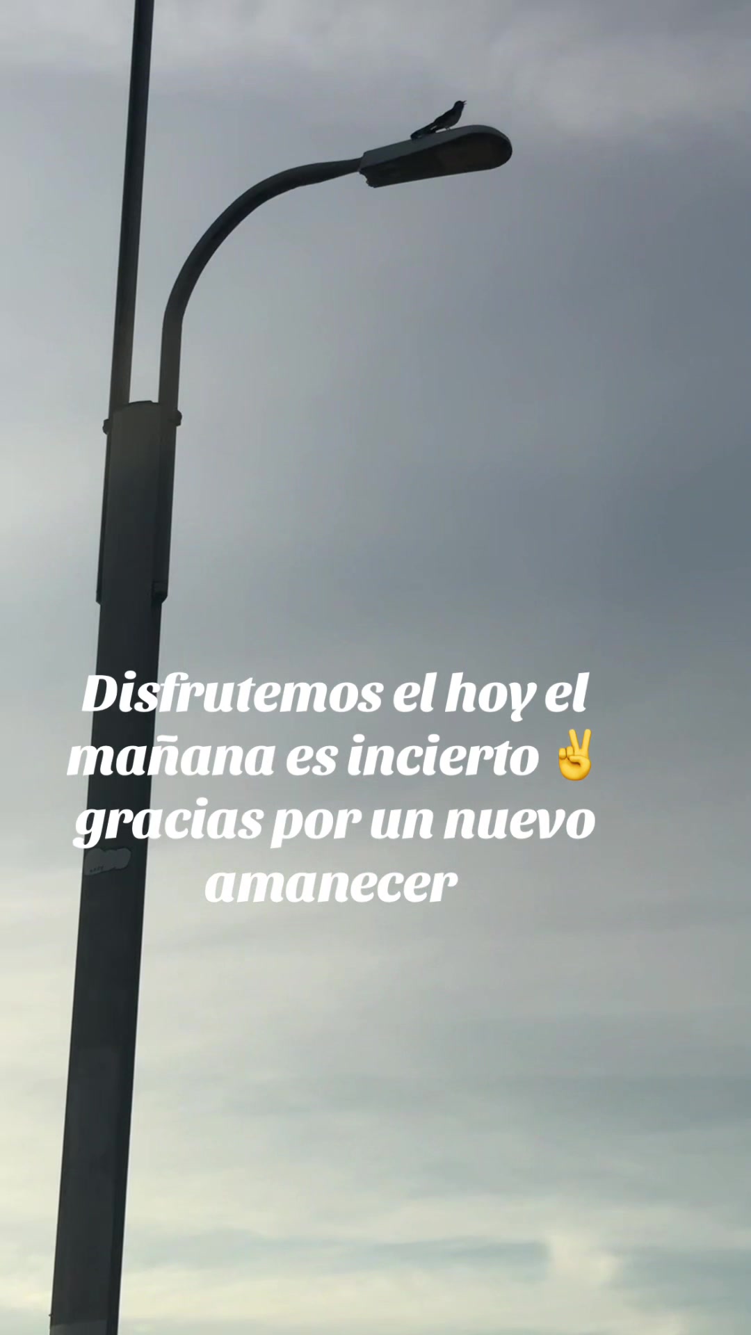 @👑 🐇🌶️🌳🇲🇽F1N@🫡🧸
