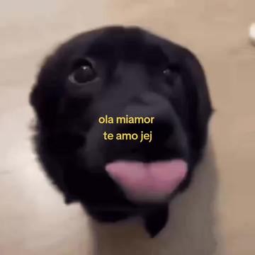 @cris ❄️