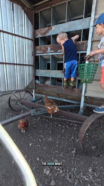 @ABC Homestead