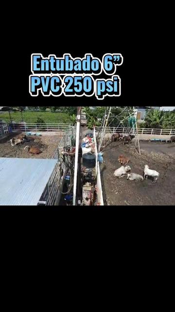 @💧AQUASOL💧 Carlos Cuc