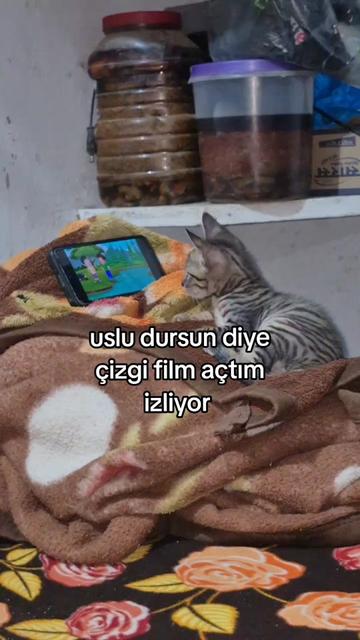 @rolland