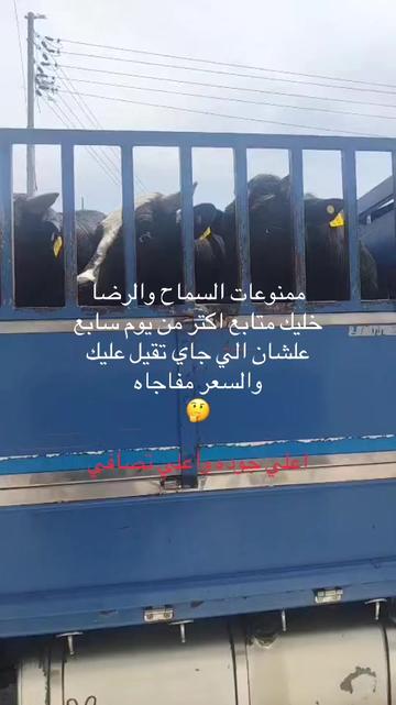 @Shady Mohamed