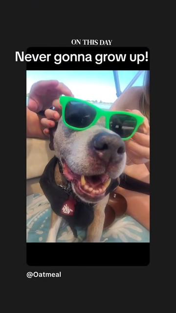 @Oatmeal 🐶🎧❤️🐕