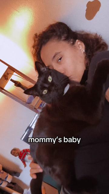 @chefstephspeaks
