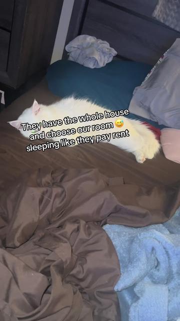 @Tasha
