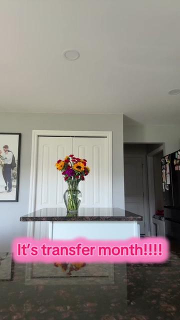 @Janelle • IVF Journey