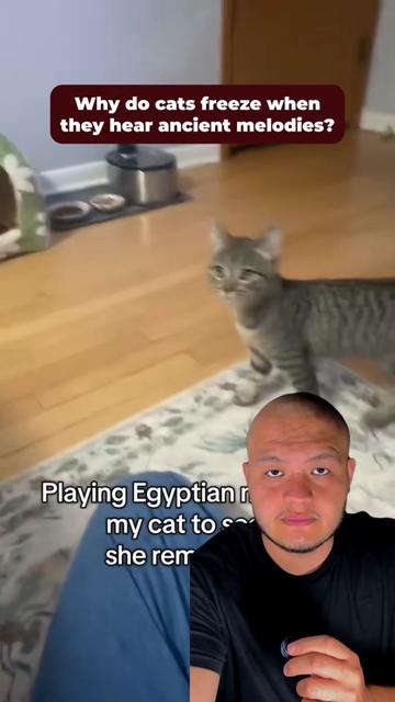 @creepy_story