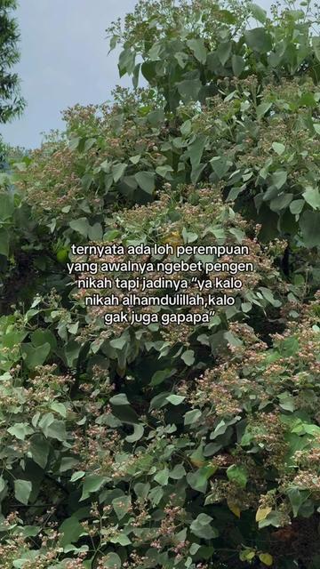 @𝗗𝗶𝗮𝗻𝘆