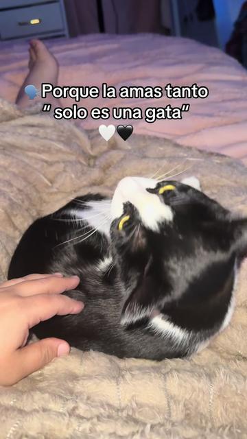 @Luna🌙 y Sol☀️