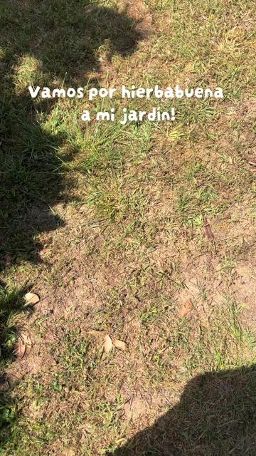 @Hijos.dela.tierra
