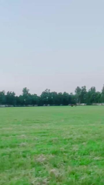 @03130519250