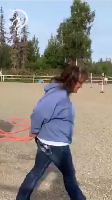 @Horse Help