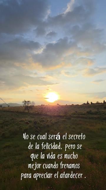 @leo_goncas