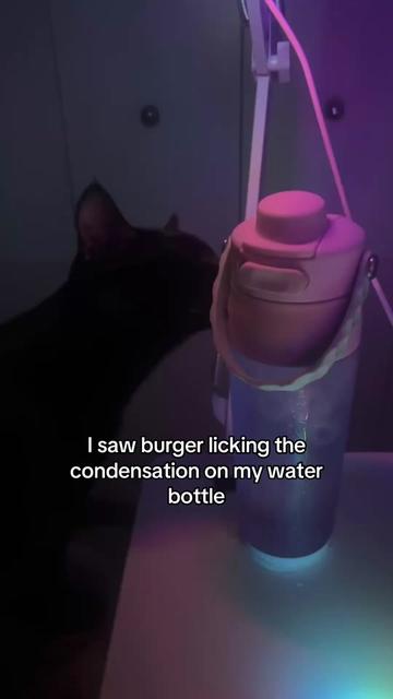 @rina