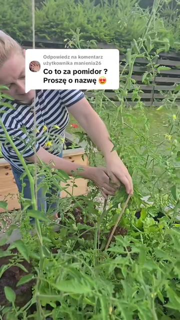 @Sylwia