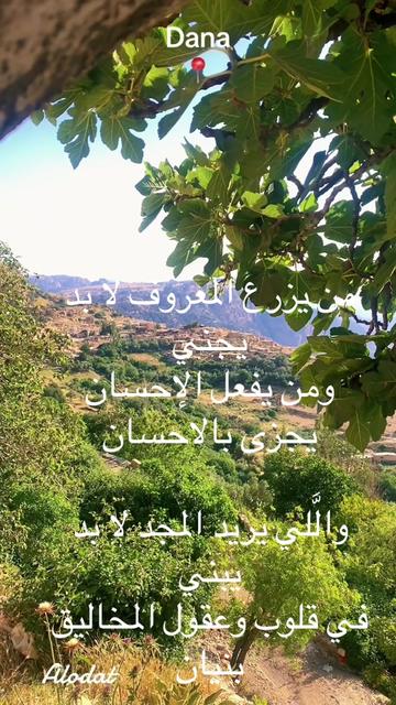 @odat_khaled