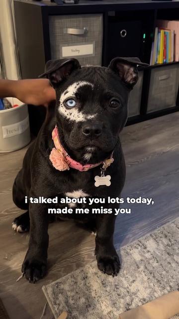 @moonfetches