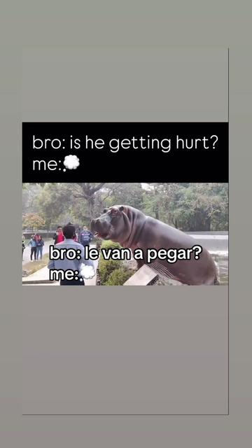 @vl0gsca