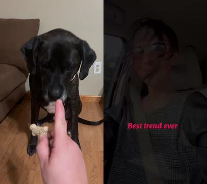 @crystel_thompson