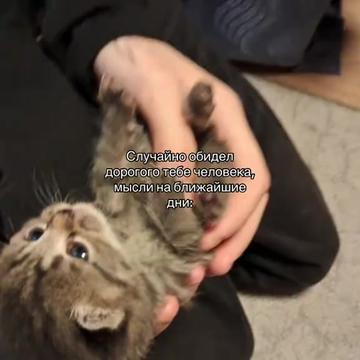 @reals134